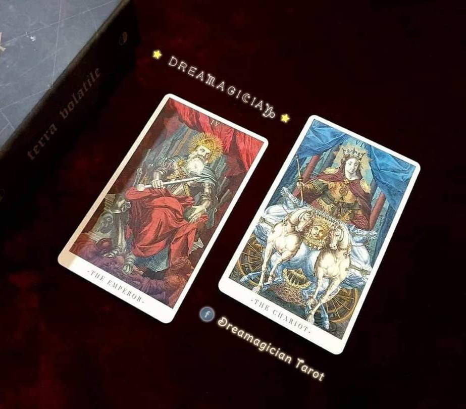 Terra Volatile Tarot ไพ่ยิปซีแท้ภาพสวย/ ไพ่ทาโร่ต์/ ไพ่ออราเคิล/ Tarot ...