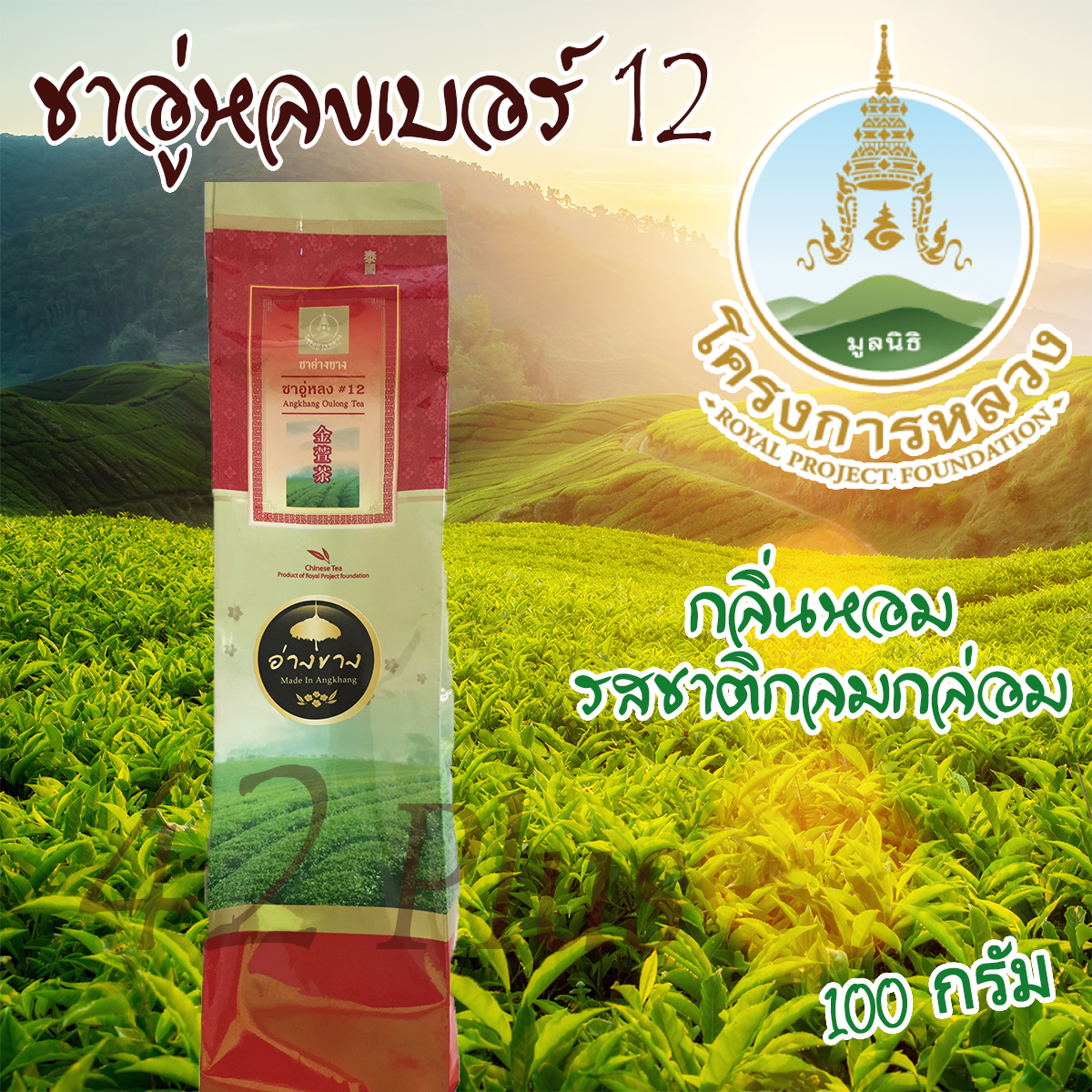 ชาอู่หลงเบอร์ 12 ชาอู่หลงแท้ จากโครงการหลวง ขนาด 100 กรัม Oolong Tea