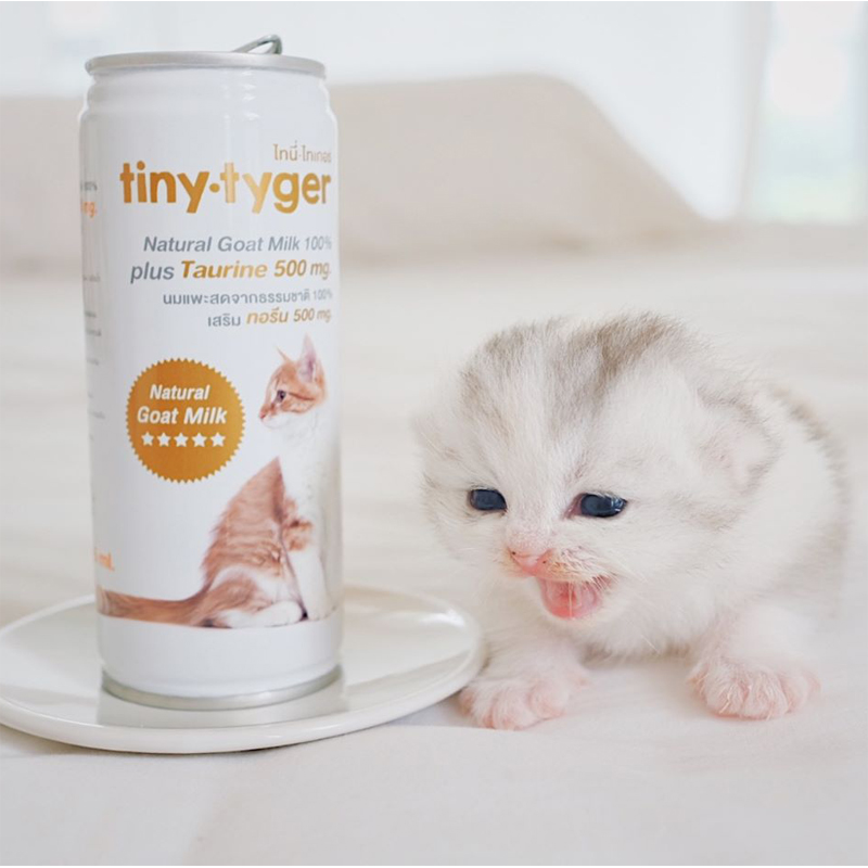 TINY TYGER นมแพะสด100% เสริม ทอรีน 500 mg. สำหรับแมว ขนาด 245 ml.