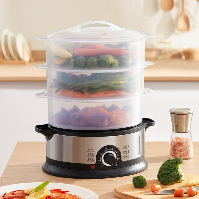 Electric steamer deals kmart