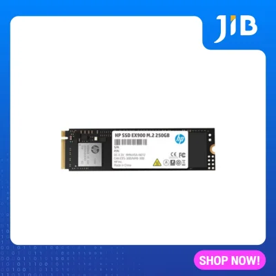 JIB 250 GB SSD (เอสเอสดี) HP EX900 PCIe/NVMe M.2 2280 (2YY43AA-UUF)