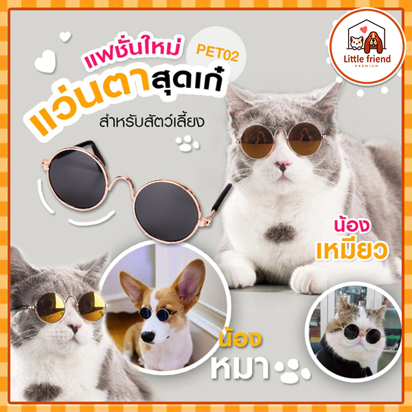 ? แว่นแมว แว่นตาแมว ? ใช้ได้ทุกสายพันธุ์และสุนัขพันธ์เล็ก แมว สุนัข  สัตว์เลี้ยง อุปกรณ์แต่งตัวแมว ทาสแมว