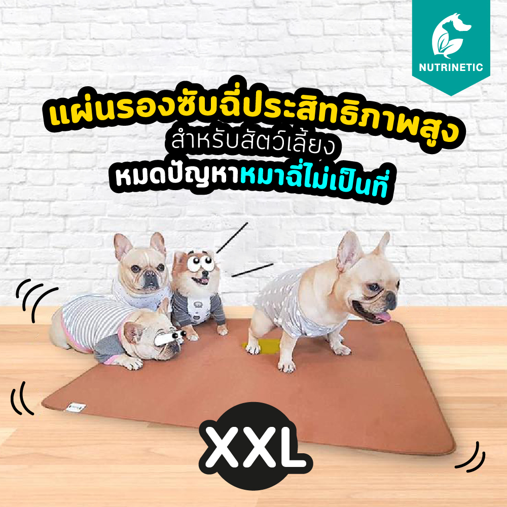 PEE PAD Multi Care 