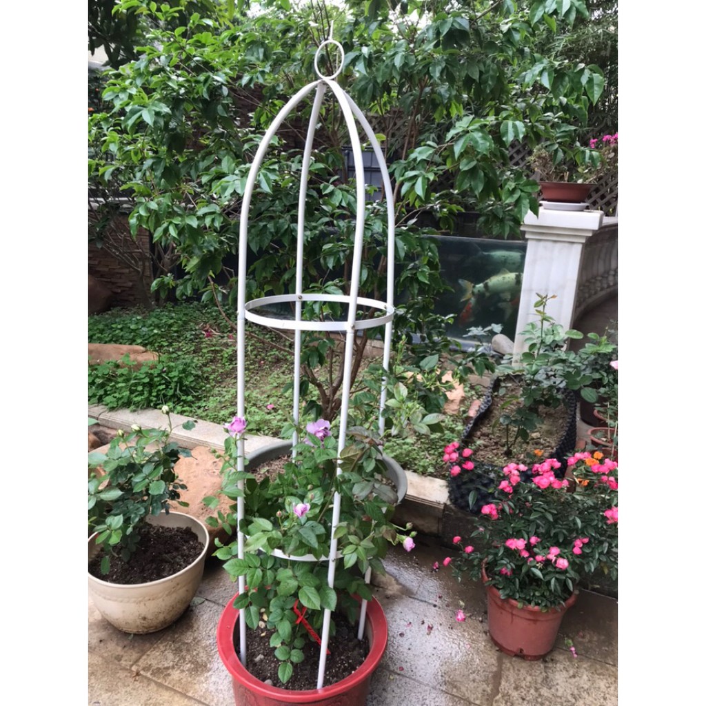 อันดับหนึ่ง 98+ ภาพพื้นหลัง ซุ้ม ไม้ เลื้อย เหล็ก ดัด ครบถ้วน อันดับหนึ่ง 98+ ภาพพื้นหลัง ซุ้ม ไม้ เลื้อย เหล็ก ดัด ครบถ้วน