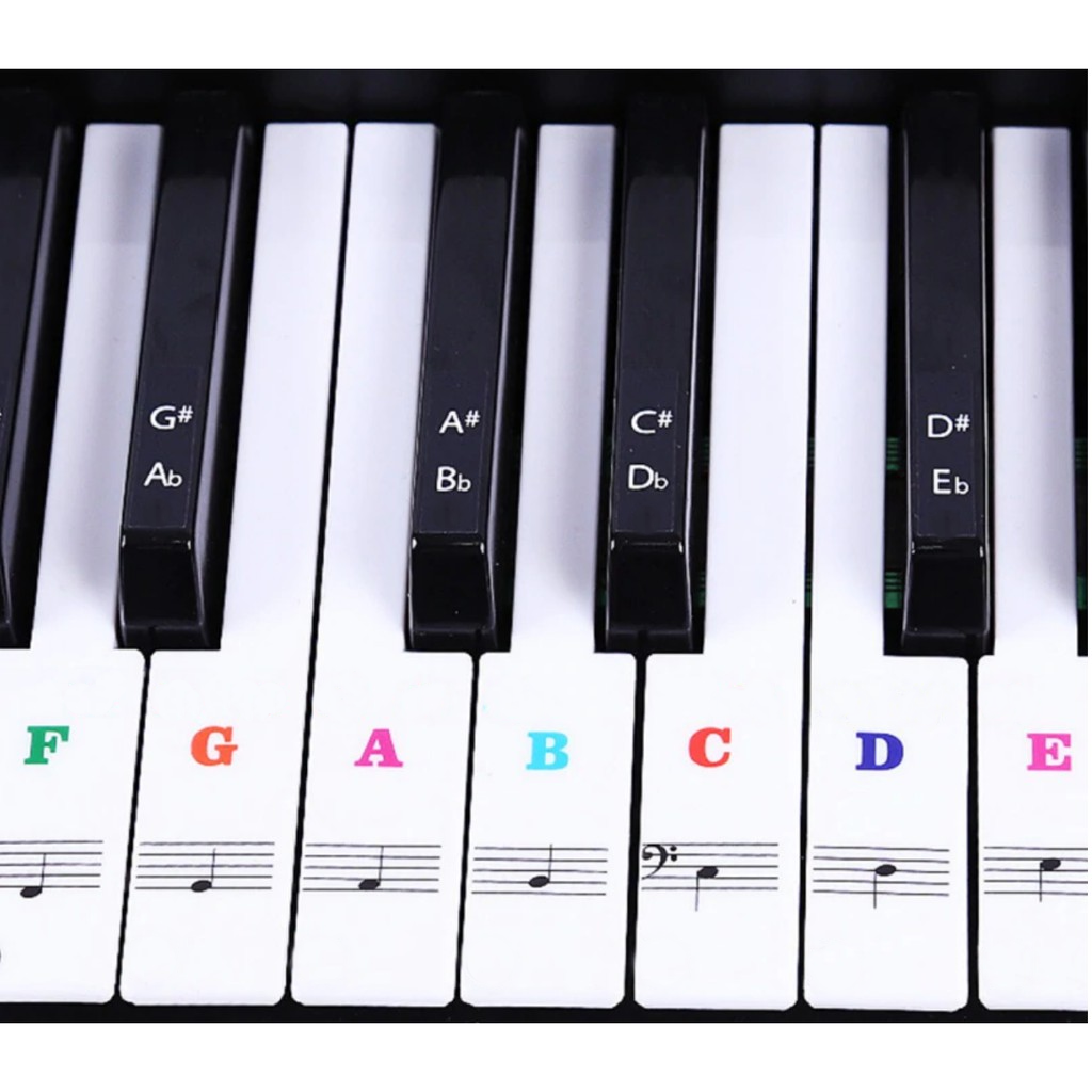 สติ๊กเกอร์แปะเปียโน สติ๊กเกอร์ติดเปียโน สติ๊กเกอร์ตัวโน๊ต สติกเกอร์ติดคีย์บอร์ด คอร์ดเปียโน 61 88 คีย์ ตัวช่วยสำหรับมือใหม่ piano notes stickers