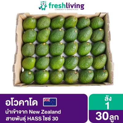อโวคาโด สุดคุ้ม 1 ลัง 30 ลูก New Avocado Import New zealand Freshliving / ผักกรอบ500กรัม / ผักอบกรอบถุงใหญ่ / มันหนึบญี่ปุ่น