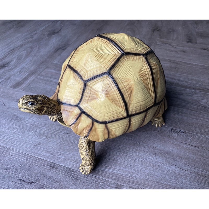 yniphora tortoise โมเดลเต่าเรซิ่น ยูนิฟอร่า