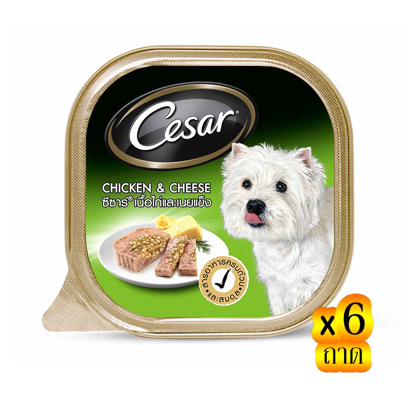 CESAR ซีซาร์ อาหารสุนัขชนิดเปียก รสไก่และชีส 100 กรัม (รวม 6 ถาด)