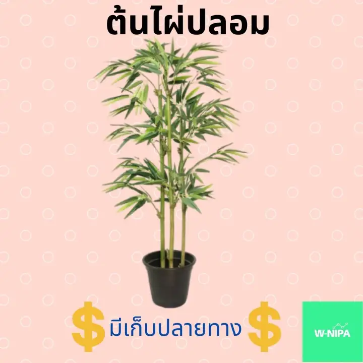 ต นไผ ปลอม ต นไม ตกแต งบ าน ส ง 1 เมตร ต นไม ตกแต ง ต นไม ตกแต งสวน ต นไม ปลอมแต งบ าน ต นไม ปลอมแต งร าน ไม ประด บ ต นไม ตกแต งบ าน ไม ประด บมงคล