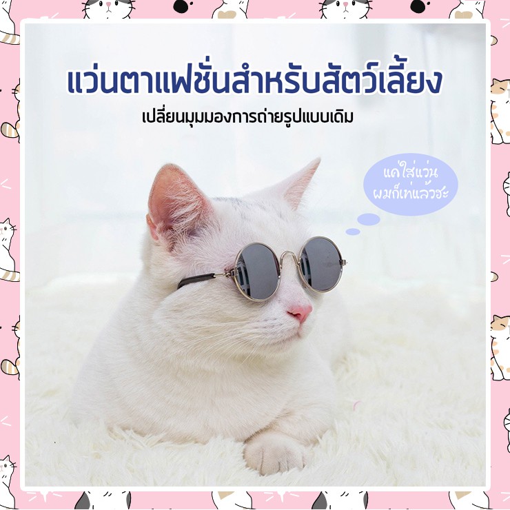 ▽  I-CAT  แว่นตาสัตว์เลี้ยง แว่นตาเด็ก แว่นน้องแมว อุปกรณ์แต่งตัวสัตว์เลี้ยง