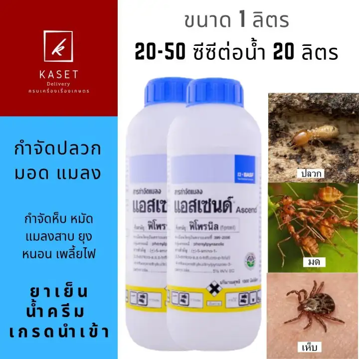 แอสเซนด พ โพลน ล5 1ล ตร 2ขวด ของแท เกรดนำเข า น ำยากำจ ดปลวก เห บหม ด แมลงคลาน มด แมลงสาบ หนอนเพล ย ด ดซ มตายยกร ง สำหร บพ น ราดปลวก ใช ในปศ ส ตว