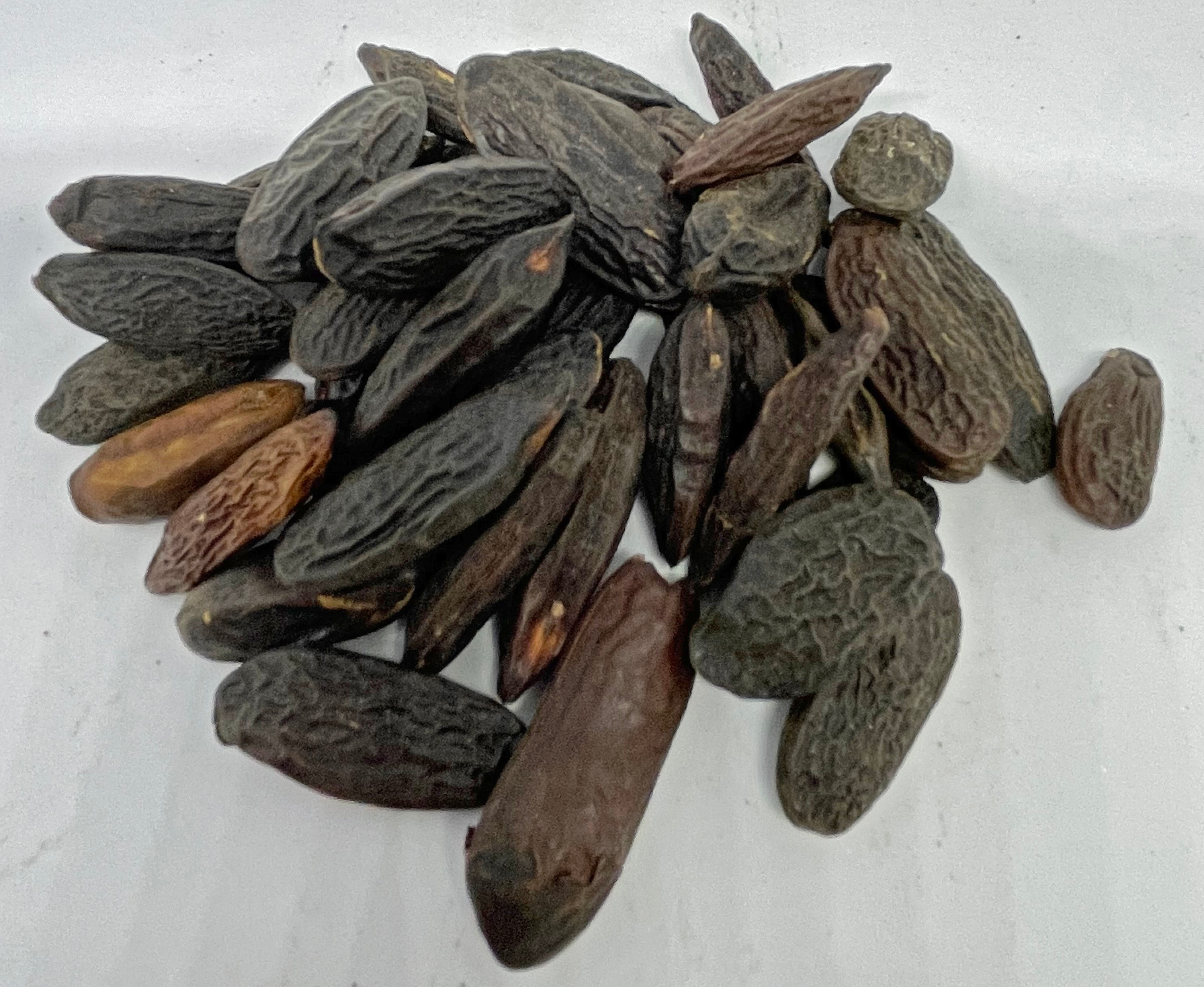 ถั่วทองก้า Tonka Beans 50g Bag Aspiceandi Lazada.co.th