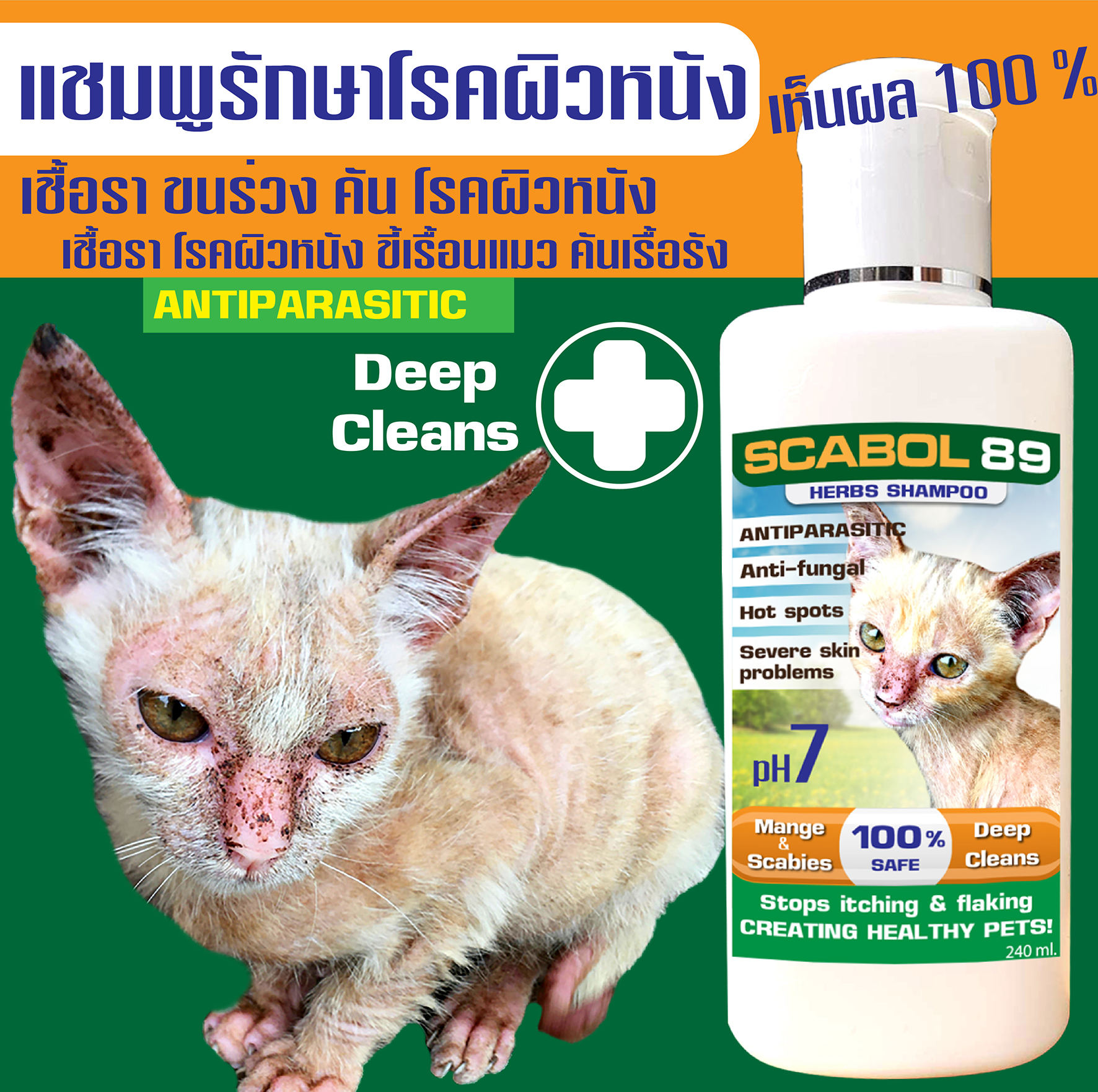 แชมพู SCABOL 89 รักษาเชื้อรา ขนร่วง ขี้เรื้อนแมว คันเรื้อรัง (สูตรสำหรับแมว) 240 ml.