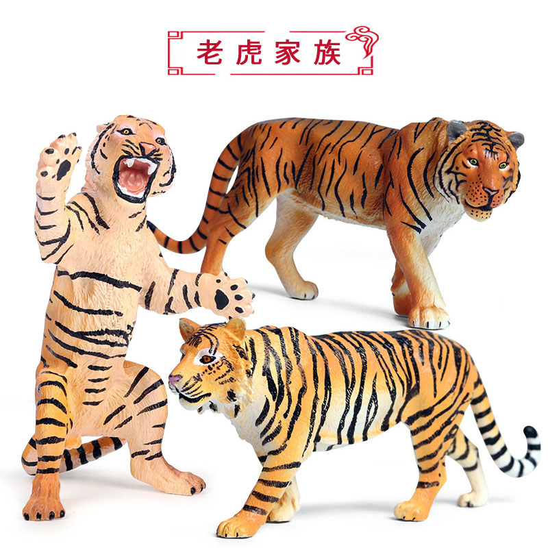 My Image 15