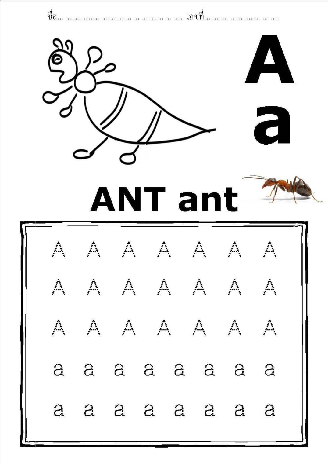 ใบงานคัดลายมือ A-Z หมวดสัตว์ 🦁🦭🐌🐞 เหมาะสำหรับฝึกพัฒนาการเด็กมากๆ ค่ะ ได้ทั้งกล้ามเนื้อมัดเล็ก และรู้จักคำศัพท์ในชีวิตประจำวัน