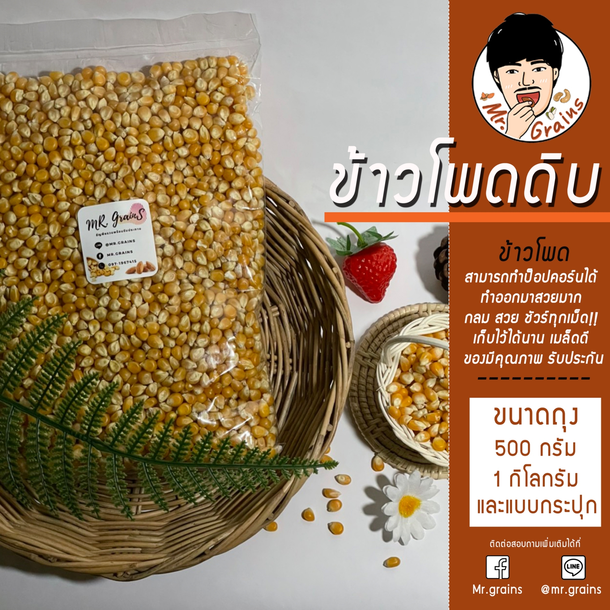 เมล็ดข้าวโพดดิบ มัชรูม [ขนาด 1,000 กรัม] Popcorn Premium Mushroom kernels นำเข้าจาก USA