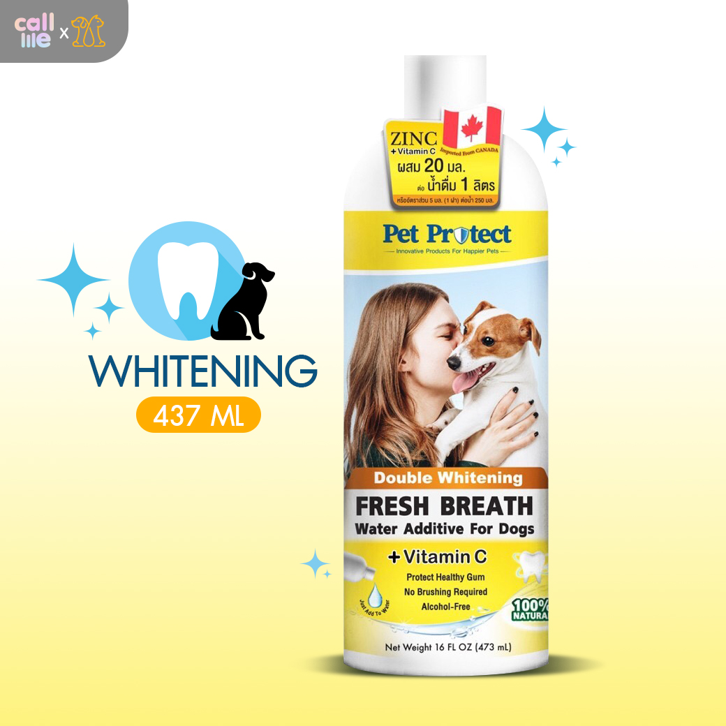 Pet Protect น้ำยาบ้วนปากสุนัข ระงับกลิ่นปาก ยับยั้งการเกิดหินปูน สูตร Whitening 473ml.ขวดใหญ่ [WD02]