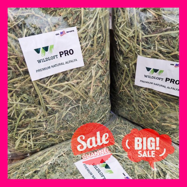 SALE !!ราคาสุดพิเศษ ## Premium Alfalfa Hay Wildloft ขนาด 1 kg หญ้าอัลฟาฟ่าเกรดพรีเมี่ยม สำหรับกระต่าย ชินชิล่า แกสบี้ ##สัตว์เลี้ยงและอุปกรณ์สัตว์เลี้ยง