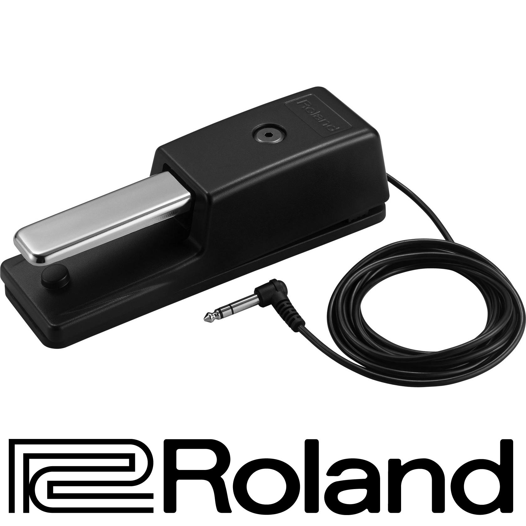 ROLAND® Footswitch รุ่น DP-10 (Sustain Pedal, ฟุตสวิทช์, ฟุตสวิตช์, สวิทช์เท้าเหยียบ, Damper Pedal)