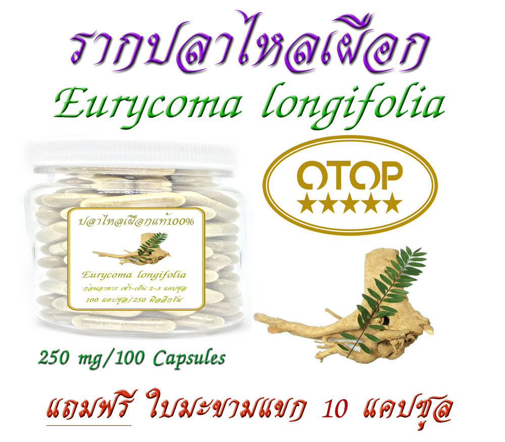 รากปลาไหลเผือกแท้ 100% (Eurycoma longifolia, Tongkat Ali) 250 mg, 100 แคปซูล สินค้าพื้นบ้าน OTOP สะอาด ปลอดภัย