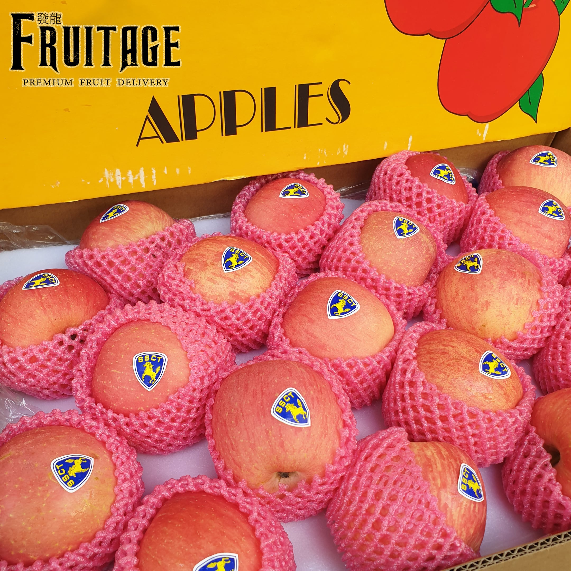 แอปเปิ้ลฟูจิ (1ลูก) APPLE FUJI (CHN) ลดพิเศษ ผลไม้สดๆ ผล Puket Stores