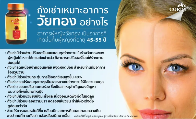 ภาพสินค้าCordy Plus ใหม่  แท้ 100% คอร์ดี้ พลัส 1 กล่อง  ถั่งเช่า อ.วิโรจน์ ราคาพิเศษ จากร้าน Herbshappy บน Lazada ภาพที่ 3