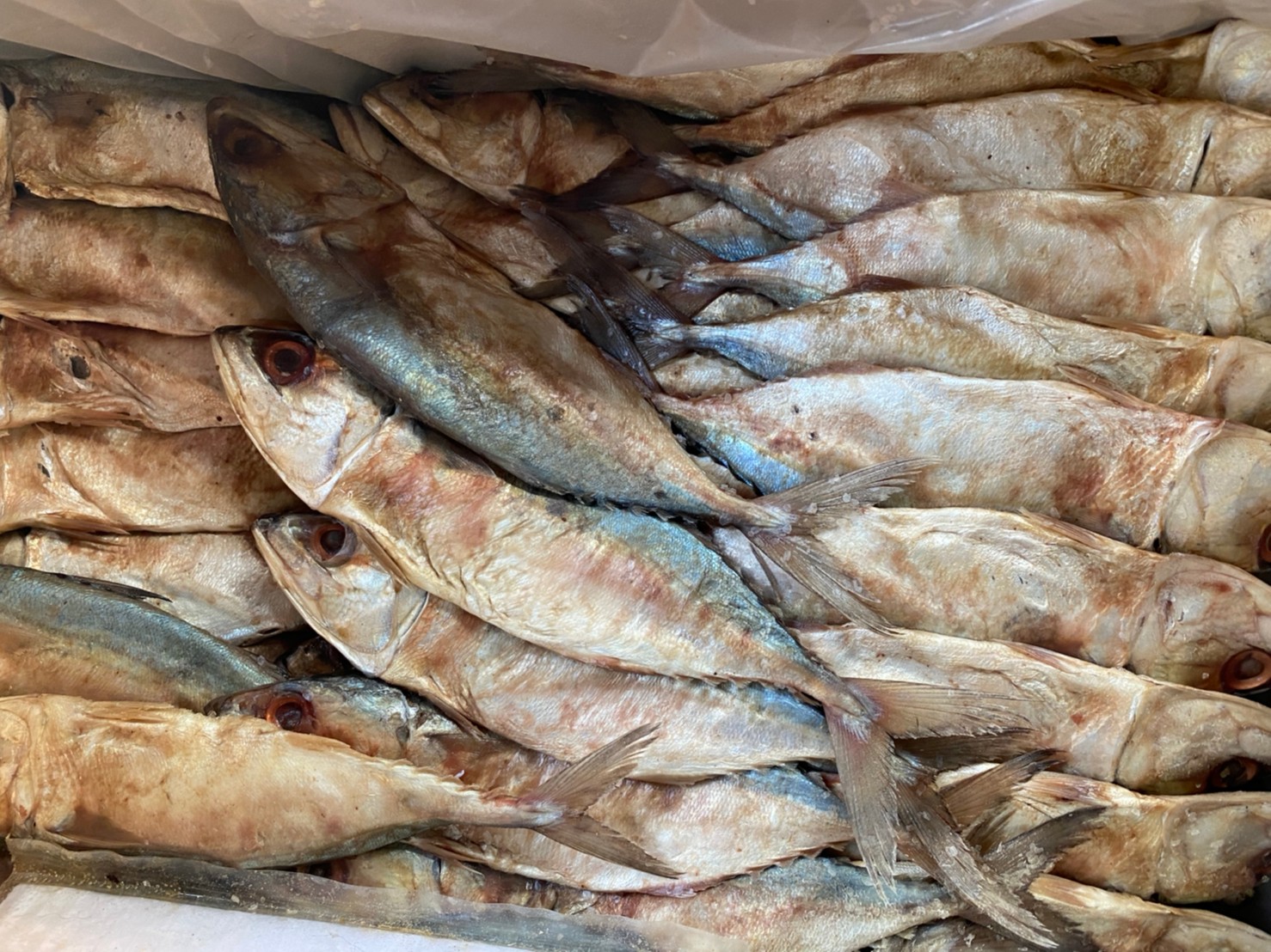 55 ปลาทูเค็ม/ปลาทูหอม นน 500 กรัม ราคาพิเศษ 55 บาท #แม่แขทะเลแห้ง /จัดส่ง ทูเค็ม ครึ่งโล/