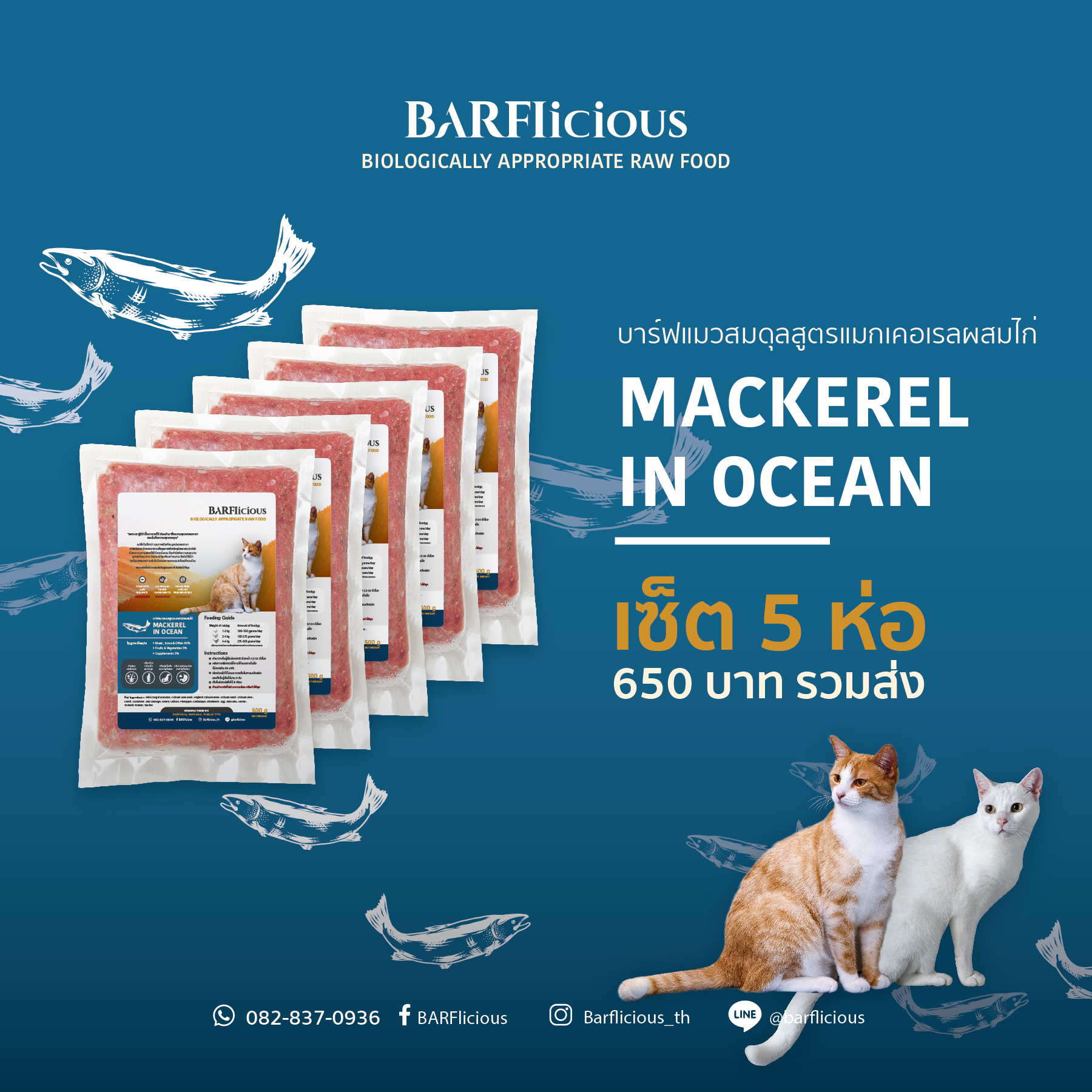 BARFlicious (บาร์ฟลิเชียส) MACKEREL IN OCEAN สูตรแมกเคอเรล  เซ็ต 5 ห่อ