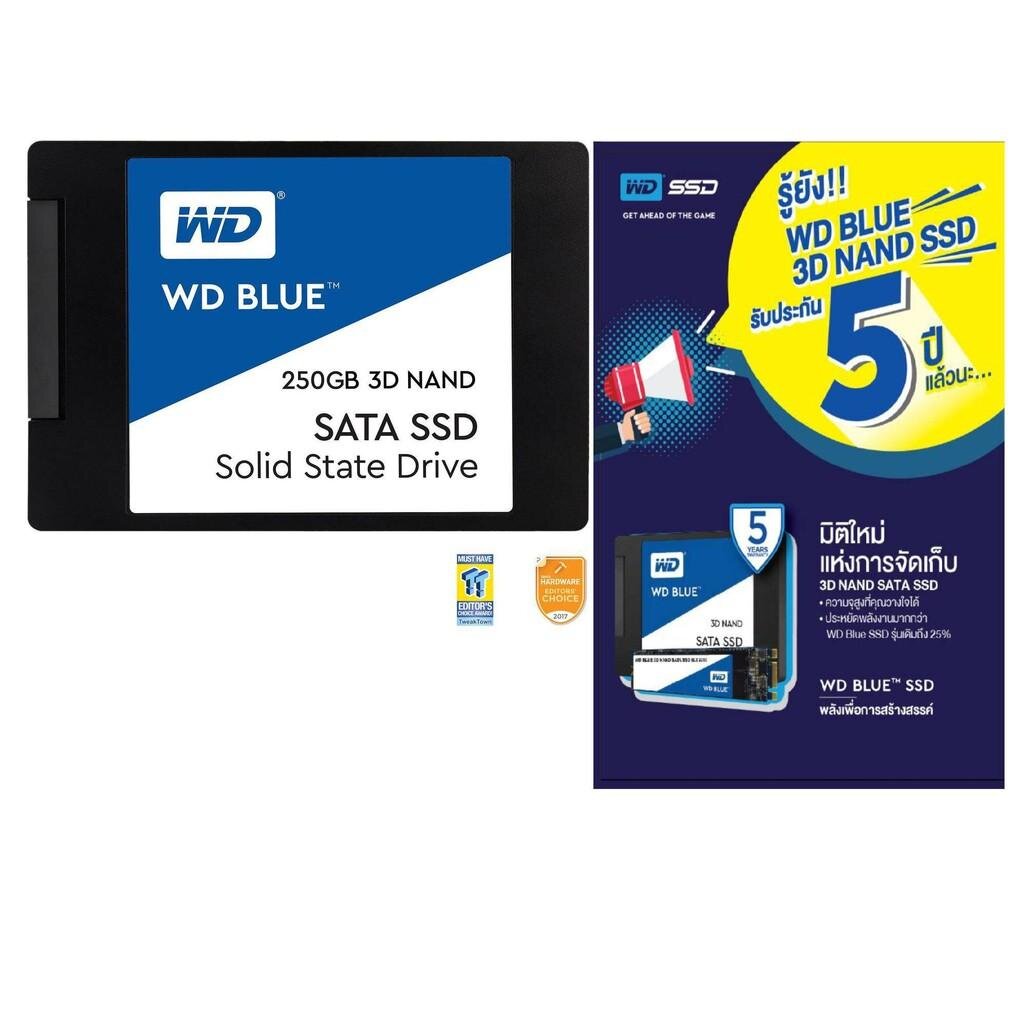 250GB SSD (เอสเอสดี) WD BLUE 3D NAND SATA 560MB/530MB รับประกัน 5 YEARS BY SYNNEX