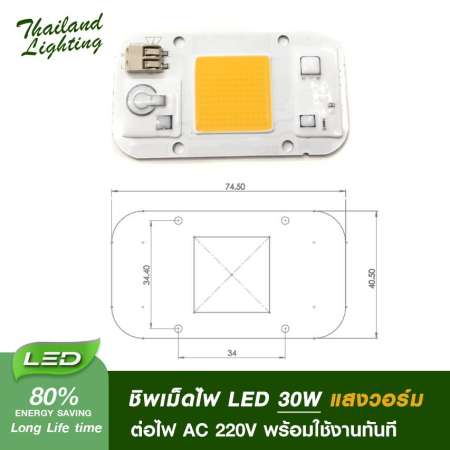 ชิพเม็ดไฟ LED 30W แสงวอร์ม ต่อไฟ AC 220V พร้อมใช้งานทันที