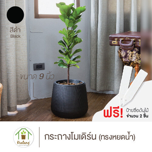 กระถางโมเดิร์น สีดำ ขนาดปาก 9