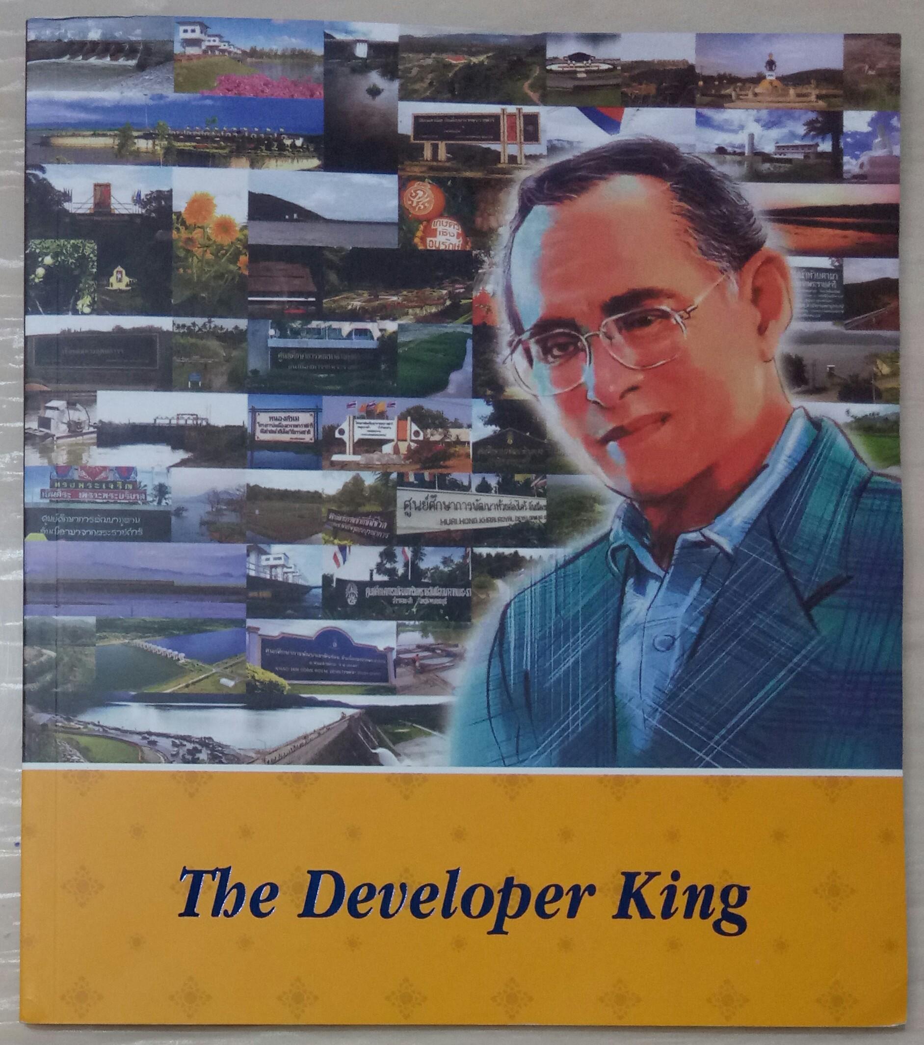 The Developer King (Paperback)