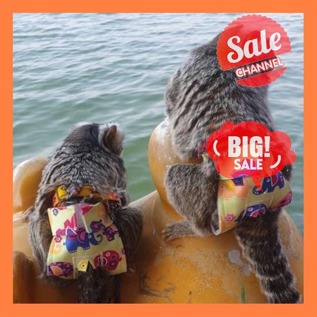 SALE !!ราคาสุดพิเศษ ## กางเกงสำหรับลิง มาโมเสท บุชเบบี้ ลิงกระรอก แทมมารีน ##สัตว์เลี้ยงและอุปกรณ์สัตว์เลี้ยง