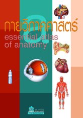 กายวิภาคศาสตร์ Essential atlas of anatomy