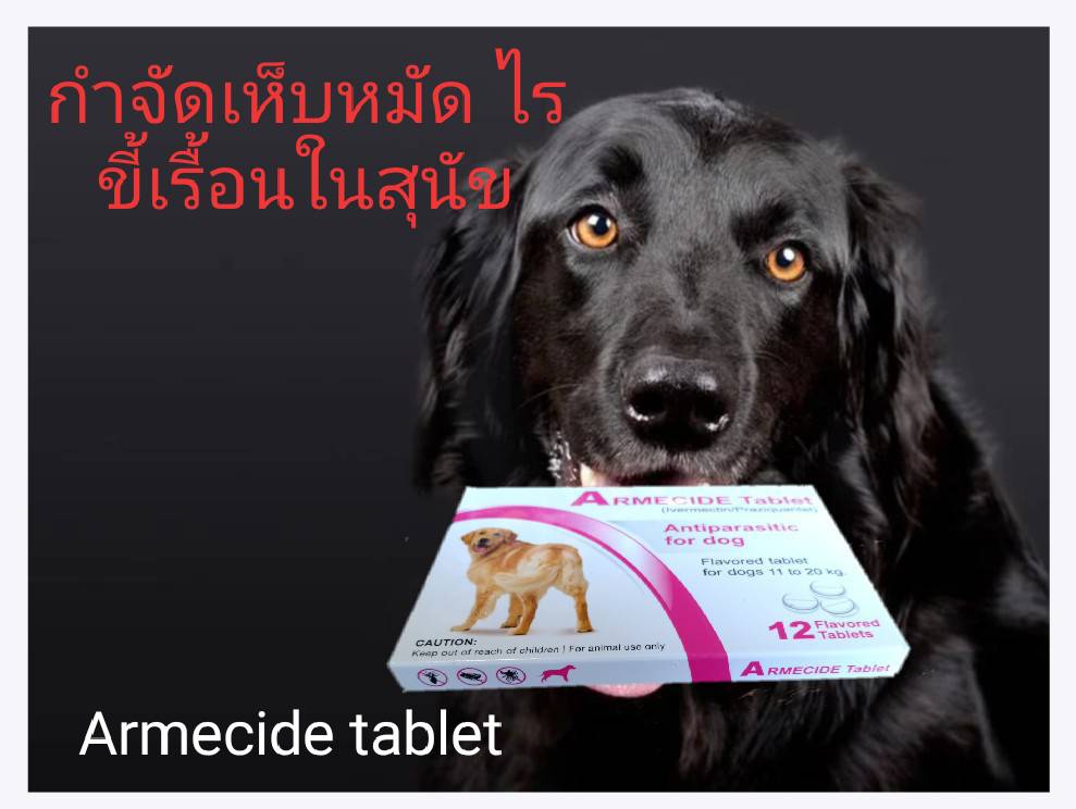 Ivermec Armecide Tablet เห็บหมัด ไรขี้เรื้อน พยาธิสุนัข
