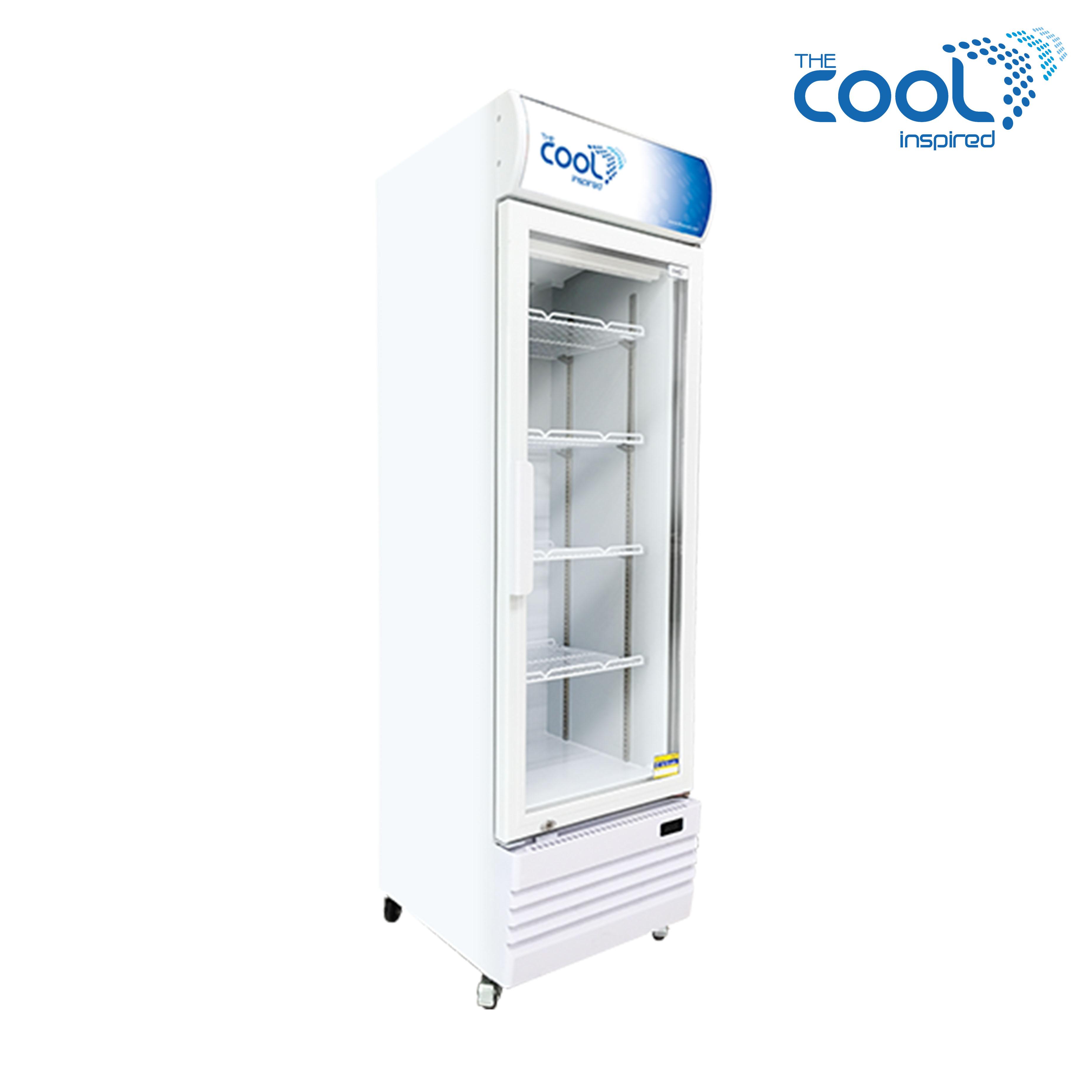 The Cool ตู้แช่เย็น 1 ประตู รุ่น Denise S250 DT