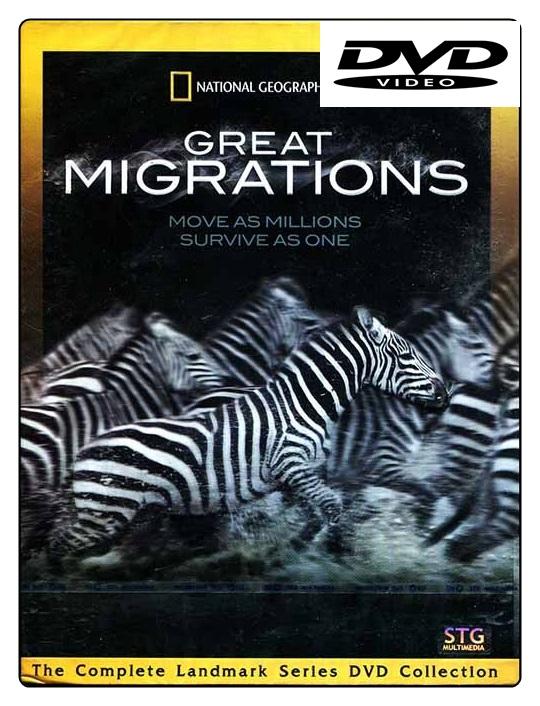 Great Migrations อัศจรรย์ฝูงสัตว์อพยพ (DVD ดีวีดี)