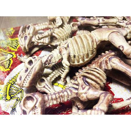 ชุดโมเดลฟอสซิลกระดูกไดโนเสาร์ Skeleton Fossil Dinosaur Model Set for Kid