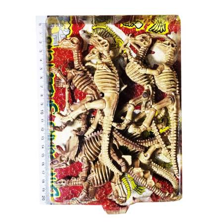 ชุดโมเดลฟอสซิลกระดูกไดโนเสาร์ Skeleton Fossil Dinosaur Model Set for Kid