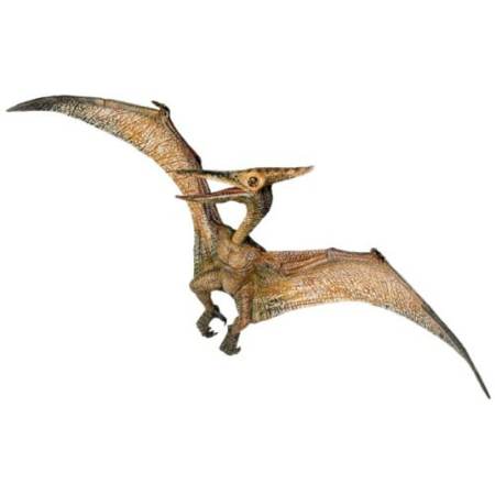 Papo : PPO55006* โมเดลไดโนเสาร์ Pteranodon 