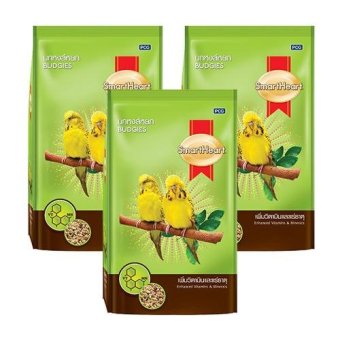 Smartheart อาหารนก หงส์หยก สูตร เพิ่มวิตามินและแร่ธาตุ 1Kg (3 ถุง) Budgies Food Enhanced Vitamins & Minerals 1 Kg (3 units) Smartheart อาหารนก หงส์หยก สูตร เพิ่มวิตามินและแร่ธาตุ 1Kg (3 ถุง) Budgies Food Enhanced Vitamins & Minerals 1 Kg (3 units)