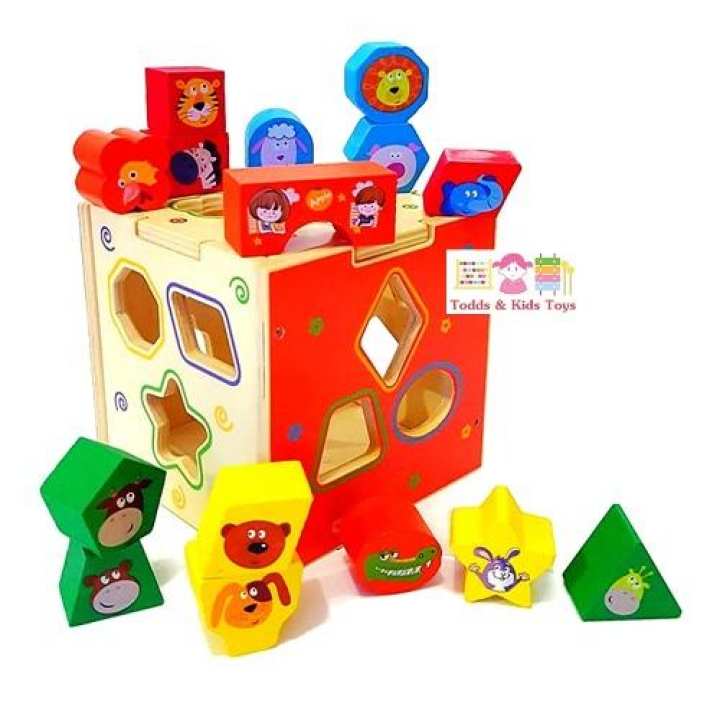 Todds & Kids Toys ของเล่นเสริมพัฒนาการ ของเล่นไม้ บล็อคหยอดไม้ 15 รูปทรง