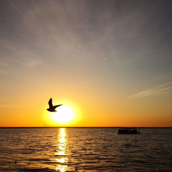 Shop online with Integrity first now! Visit Integrity first on Lazada.