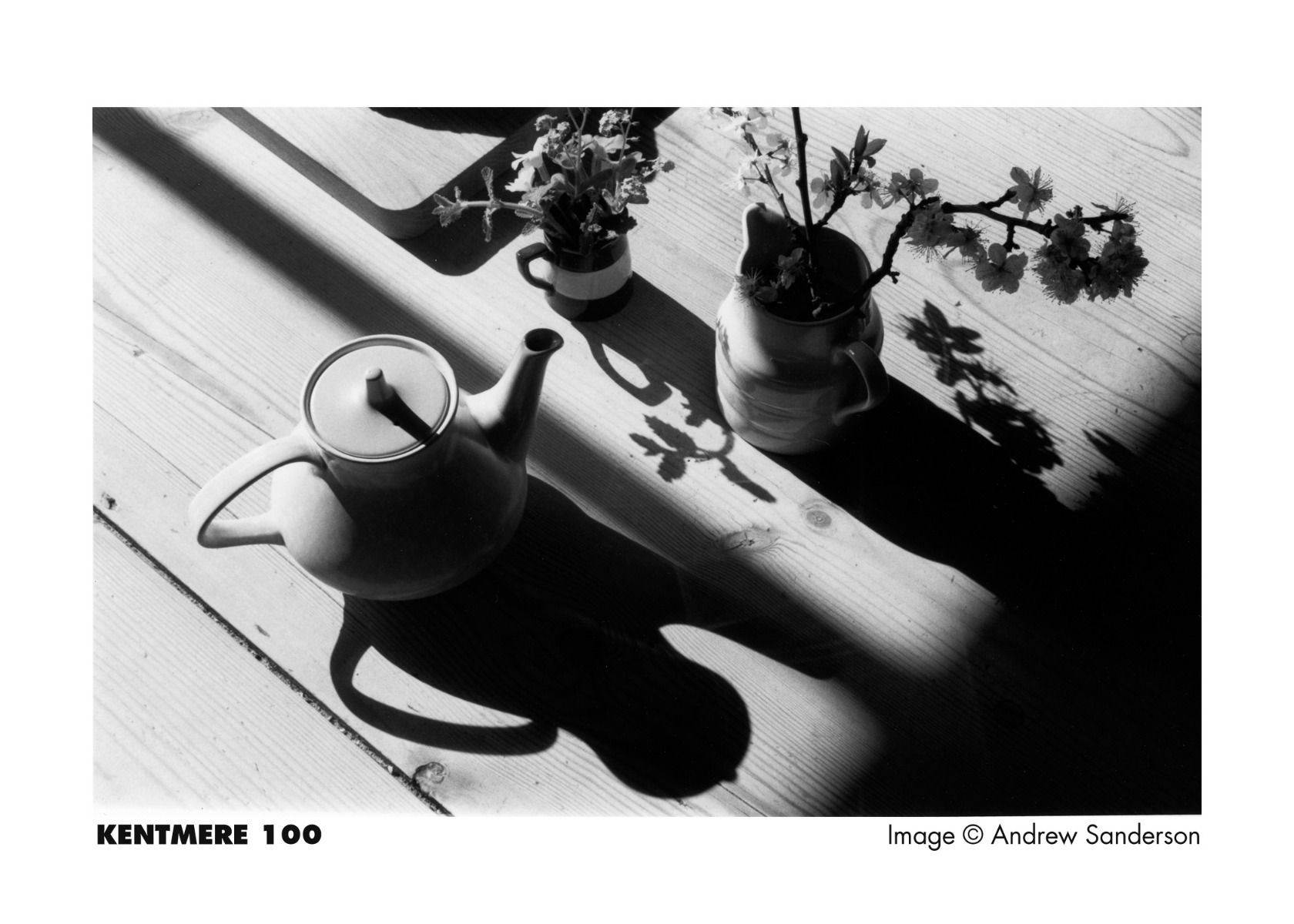 รูปภาพเพิ่มเติมของ ฟิล์มขาวดำ KENTMERE PAN 100 35mm 135-36 Black and White Film ฟิล์ม Ilford ขาวดำ 135