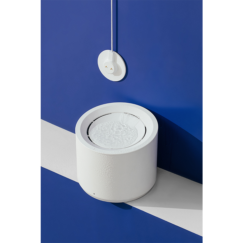 Xiaomi Petree Fountain Green