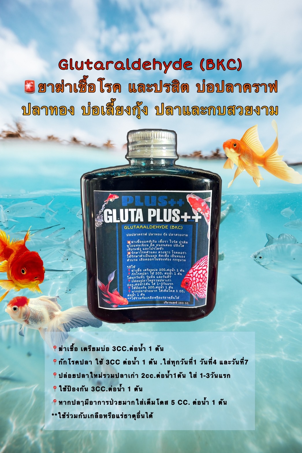 เกี่ยวกับสินค้า Glldehyde bkc ยาปลา กำจัดปรสิต แบคทuเรีย ปลาคาร์ฟและสัตว์น้ำ บรรจุ 250 ml.