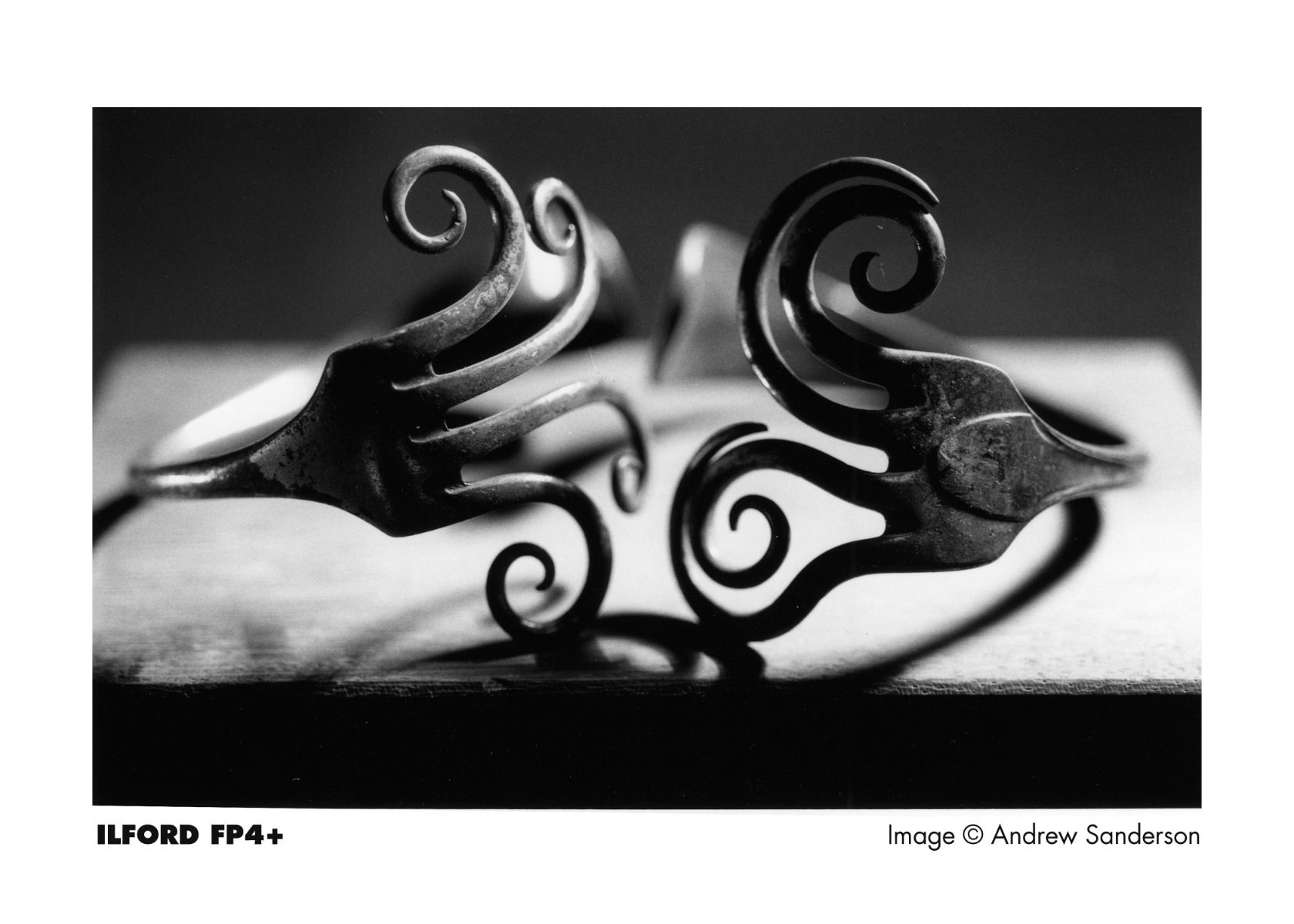 ภาพประกอบคำอธิบาย ฟิล์มขาวดำ ILFORD FP4 Plus 125 35mm 135-36 Black and White Film