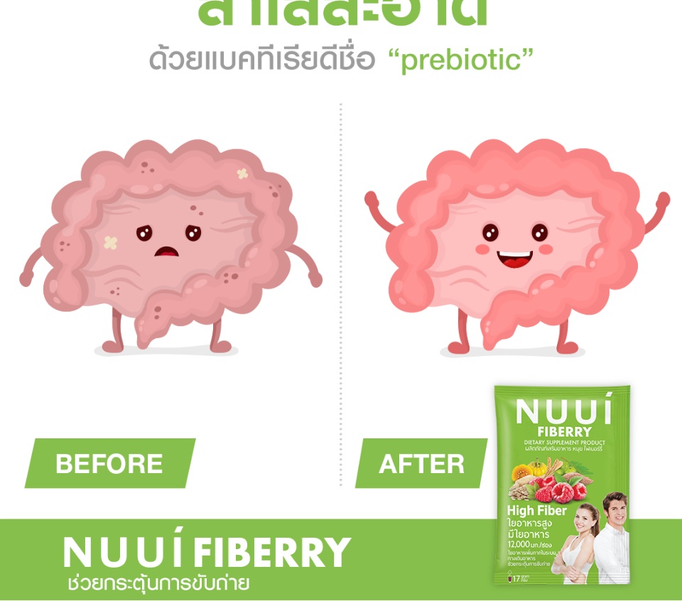 รายละเอียดเพิ่มเติมเกี่ยวกับ NUUI CTP FIberry หนุย ซีทีพี ไฟเบอร์รี่ [3 กล่อง][กล่องเขียว]