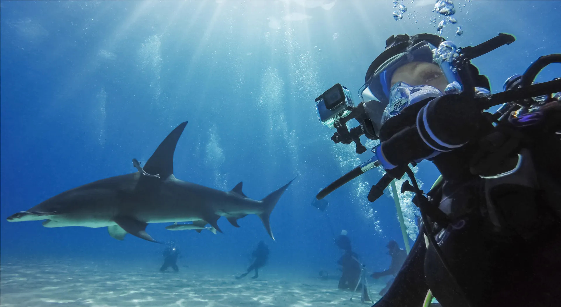 คำอธิบายเพิ่มเติมเกี่ยวกับ GoPro HERO10 Black เซตกล้องโกโปรสำหรับดำน้ำ Dive Power B พร้อมเคสกันน้ำ,แบตเตอรี่ Enduro และกระเป๋าพรีเมี่ยมกันน้ำ