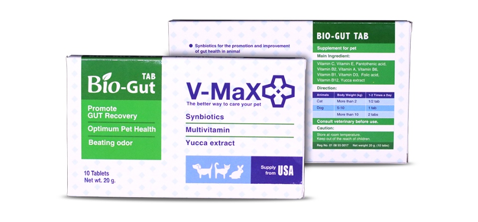 คำอธิบายเพิ่มเติมเกี่ยวกับ V-max Bio-Gut 20 g Exp.1/2024 Probiotics โพรไบโอติก Bio Gut อาหารเสริม ปรับสมดุลทางเดินอาหาร ท้องเสีย ท้องผูก ฟื้นฟูเซลล์ลำไส้ (1 กล่อง 10 เม็ด)